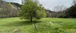 vente Maison Soudorgues