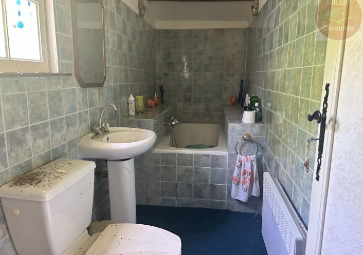 à vendre Propriété Saint Bonnet De Salendrinque