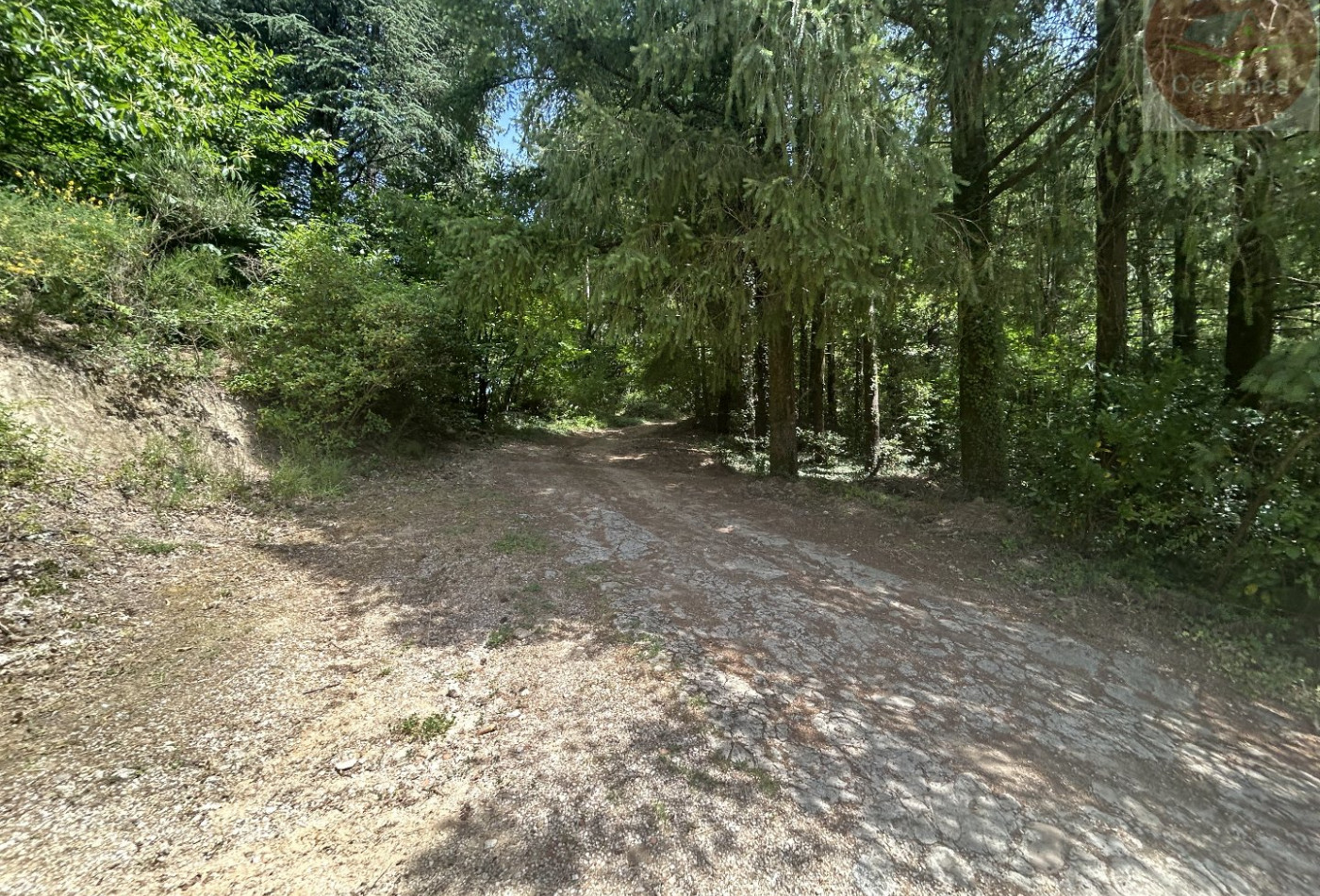 vente Saint Bonnet De Salendrinque - Photo 5