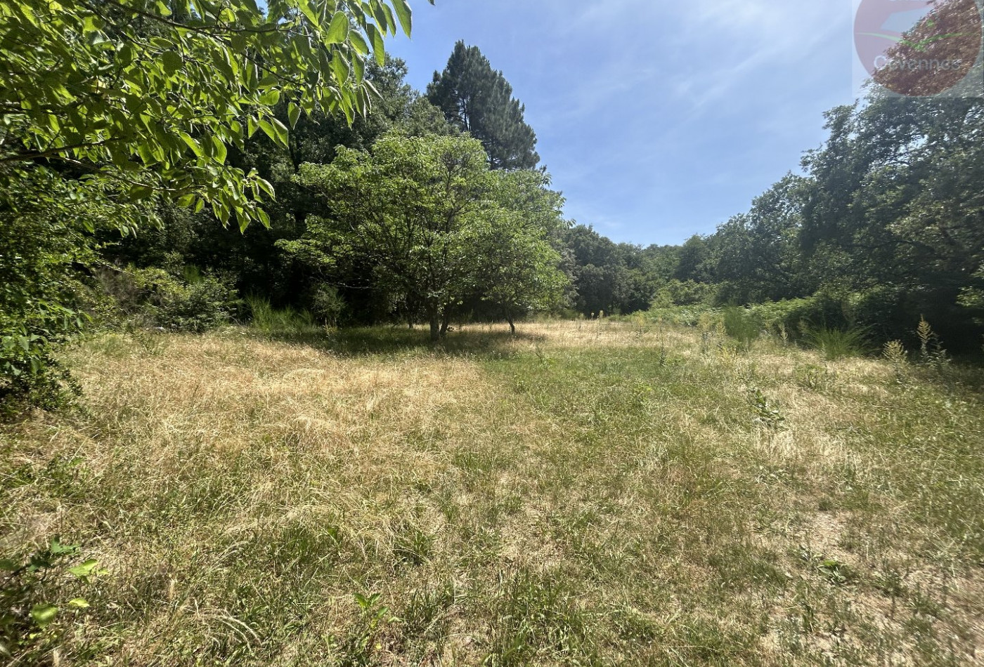 vente Saint Bonnet De Salendrinque - Photo 6
