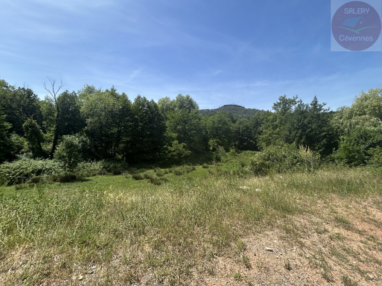 à vendre Propriété Saint Bonnet De Salendrinque - Photo 8