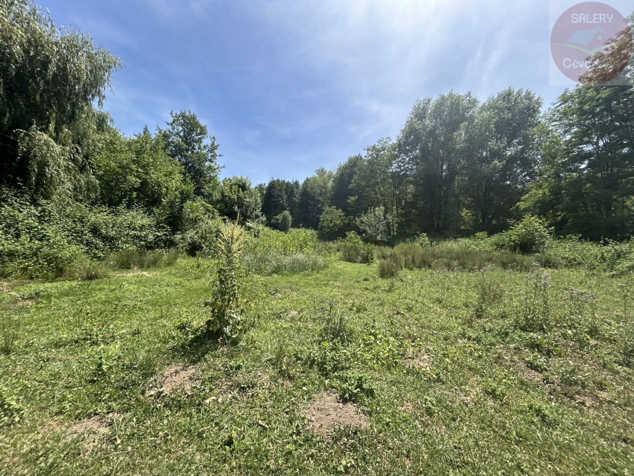 à vendre Propriété Saint Bonnet De Salendrinque - Photo 7