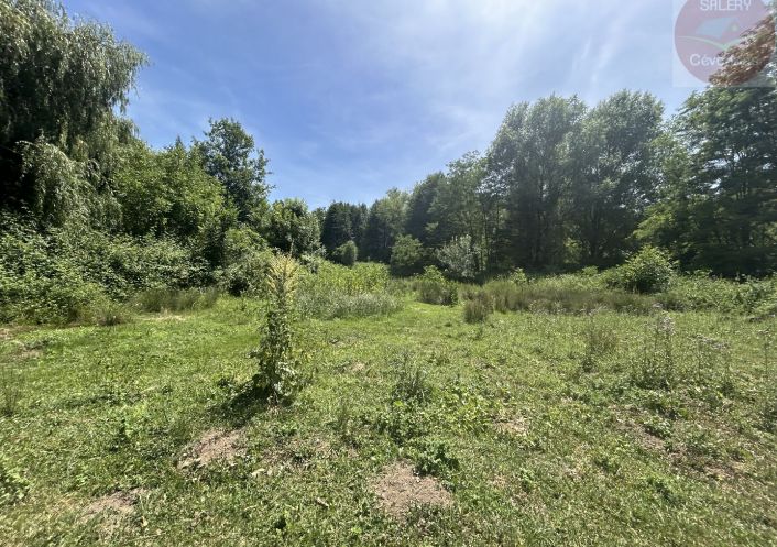 à vendre Propriété Saint Bonnet De Salendrinque