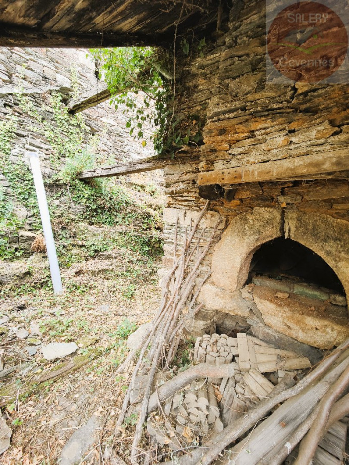 à vendre Maison à rénover Saint Julien D'arpaon - Photo 6
