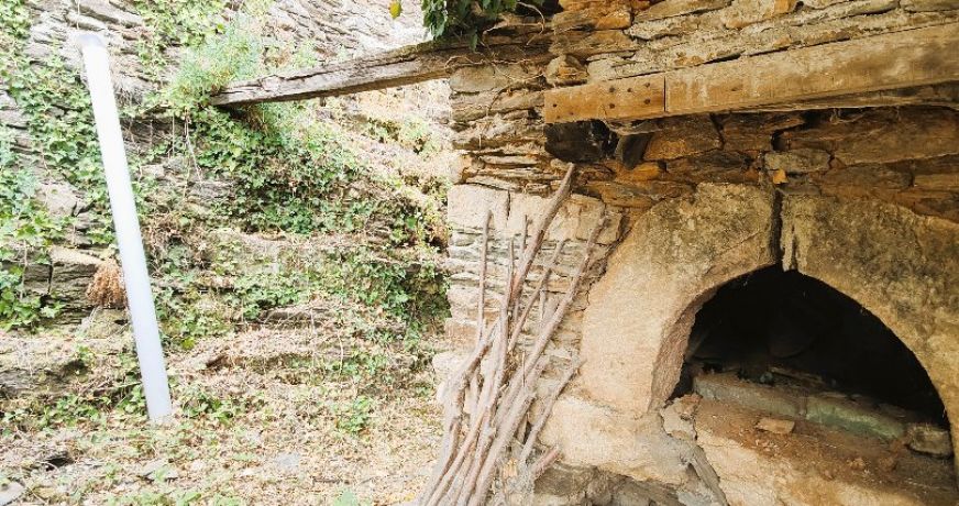 vente Maison à rénover Saint Julien D'arpaon