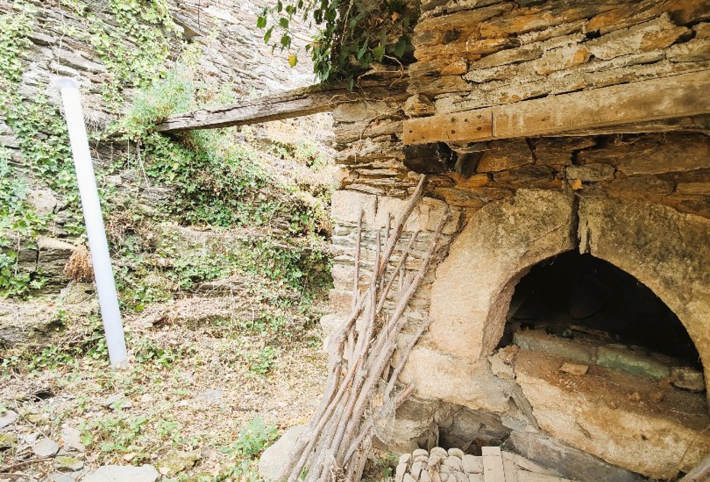 vente Maison à rénover Saint Julien D'arpaon - Photo 6