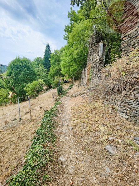 vente Maison à rénover Saint Julien D'arpaon - Photo 5