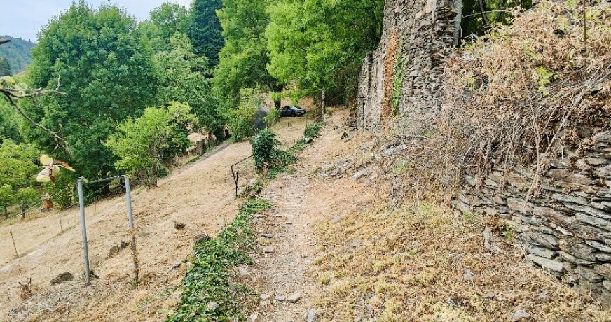 vente Maison à rénover Saint Julien D'arpaon