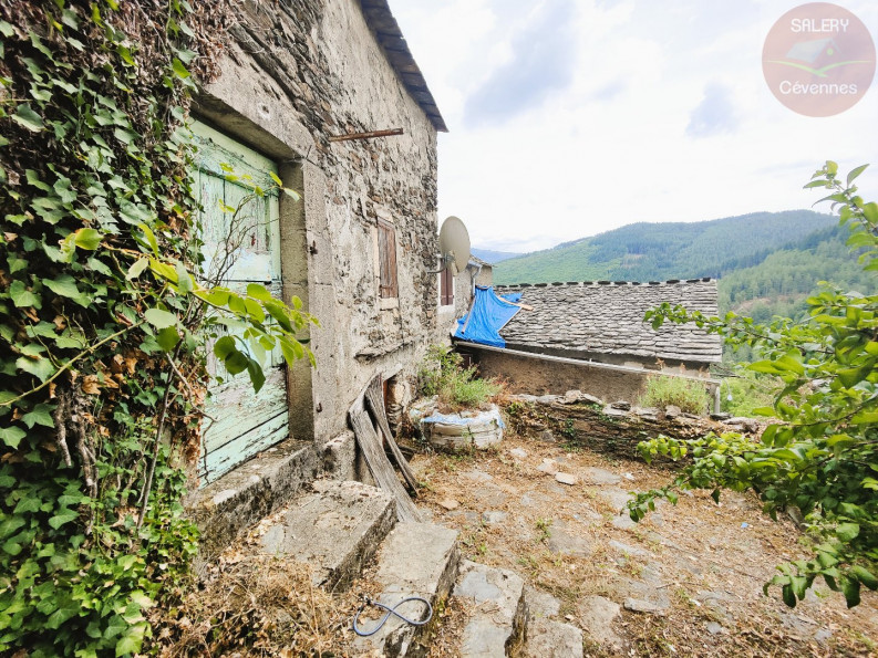 vente Maison à rénover Saint Julien D'arpaon - Photo 7