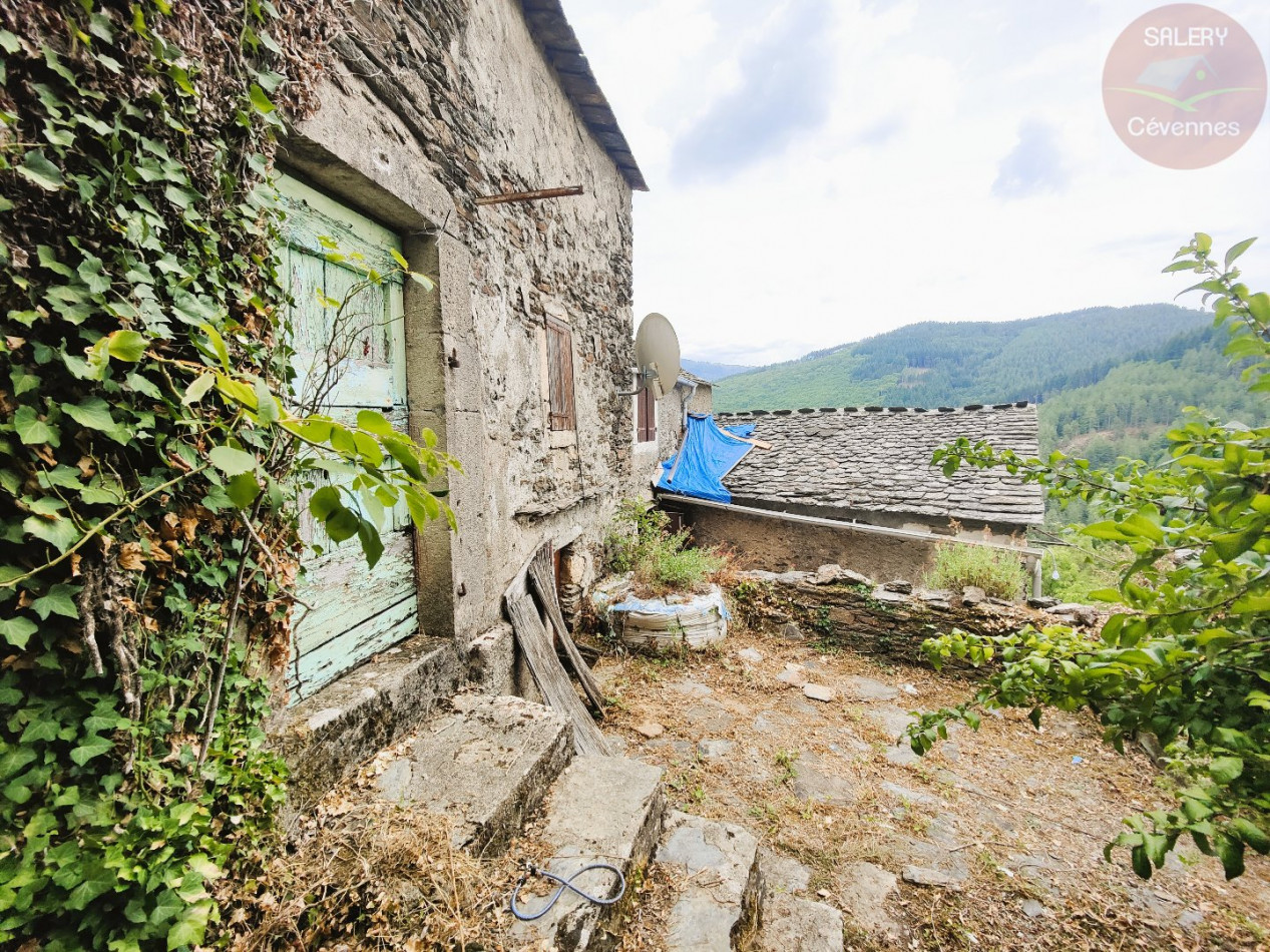 à vendre Maison à rénover Saint Julien D'arpaon - Photo 7