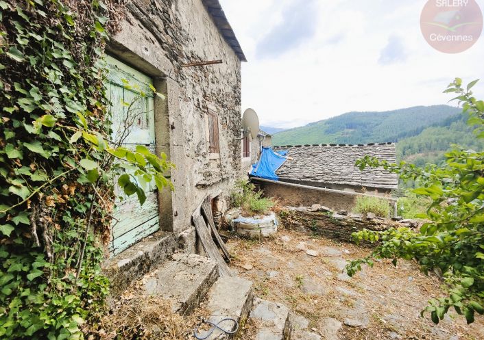 à vendre Maison à rénover Saint Julien D'arpaon