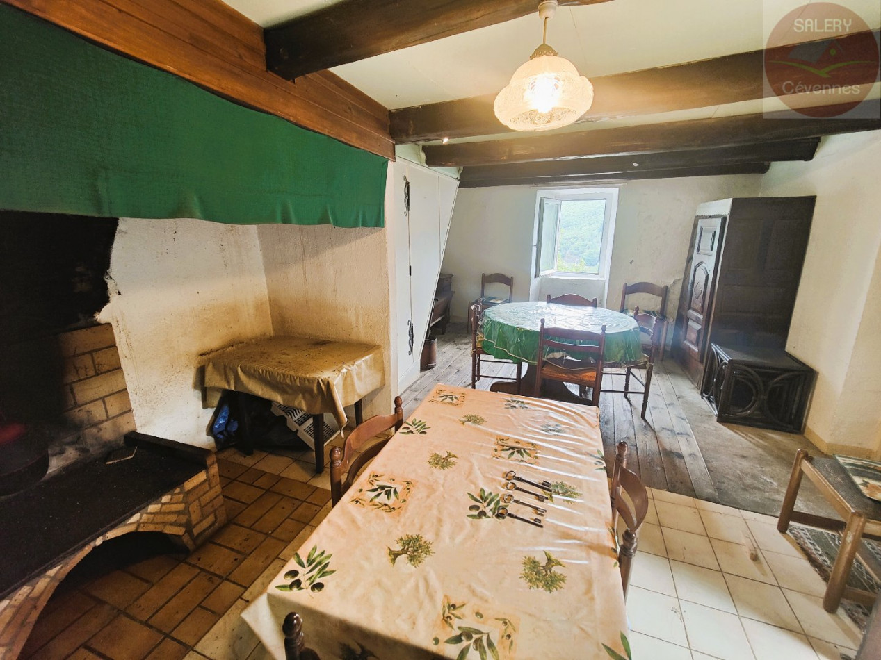 à vendre Maison à rénover Saint Julien D'arpaon - Photo 3