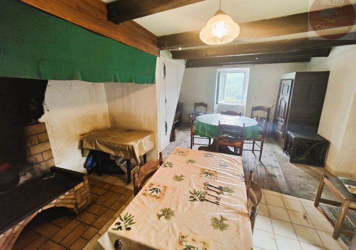 à vendre Maison à rénover Saint Julien D'arpaon