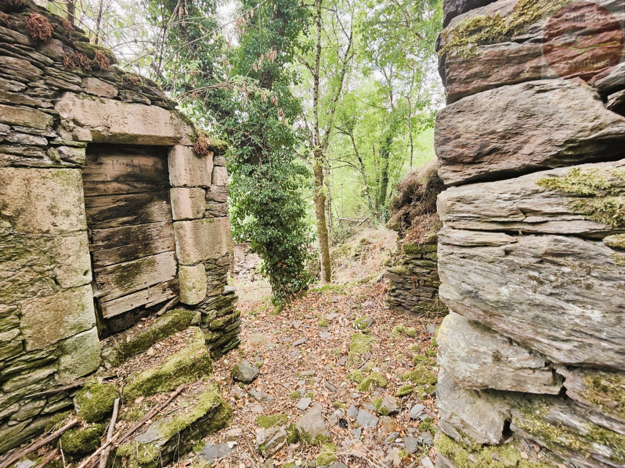 à vendre Maison à rénover Saint Julien D'arpaon - Photo 8