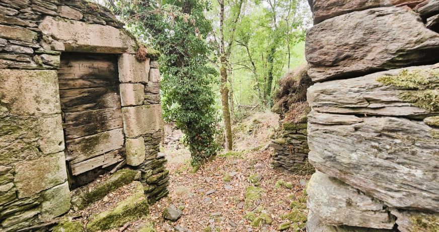 vente Maison à rénover Saint Julien D'arpaon