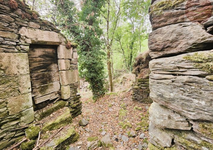 à vendre Maison à rénover Saint Julien D'arpaon