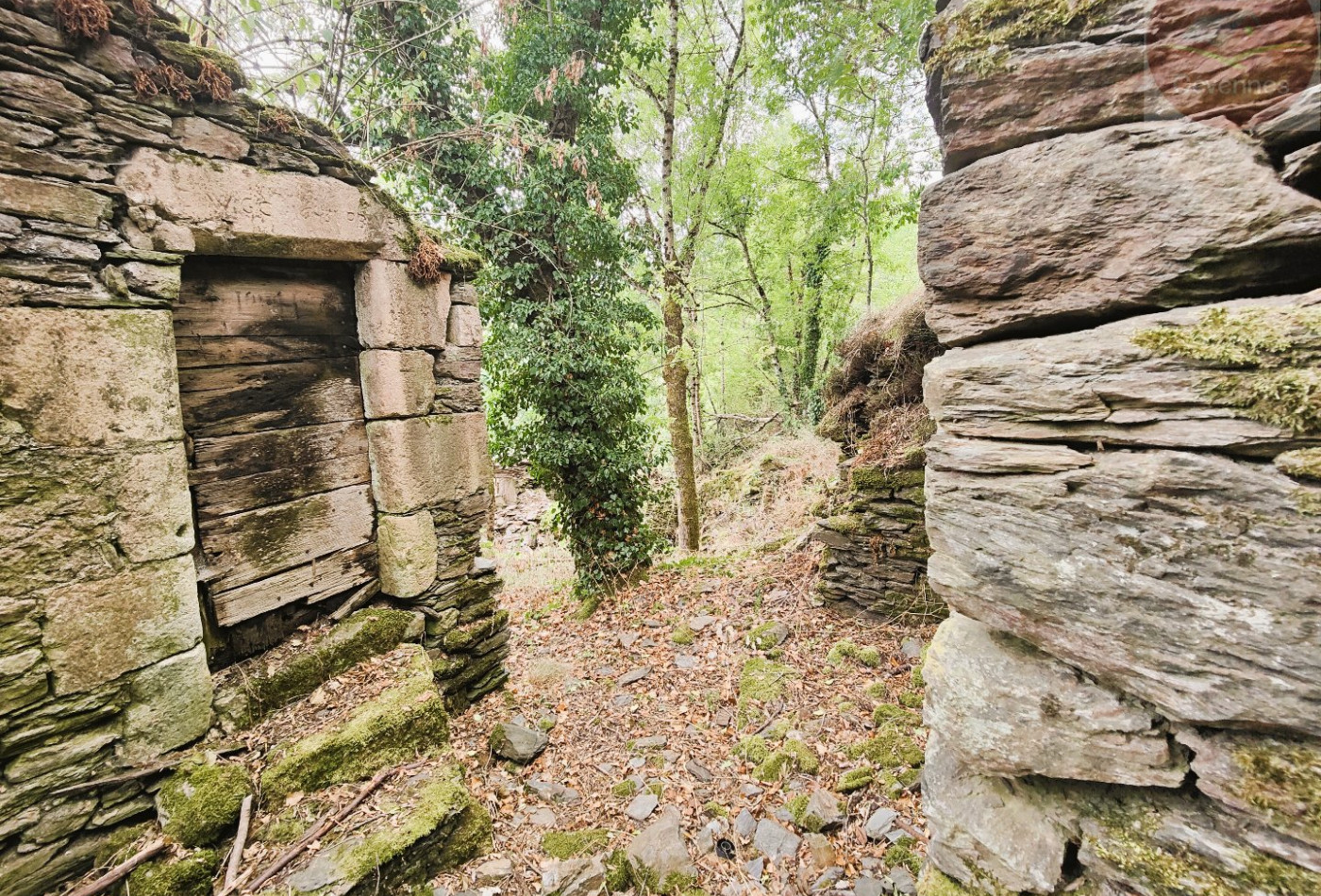 vente Maison à rénover Saint Julien D'arpaon - Photo 8
