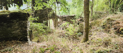 vente Maison à rénover Saint Julien D'arpaon