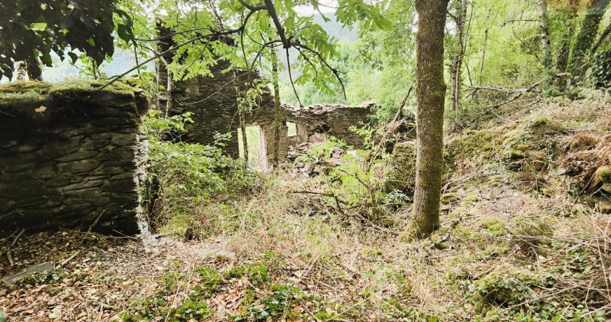 vente Maison à rénover Saint Julien D'arpaon