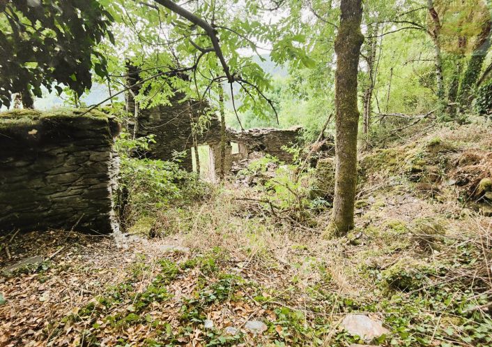 à vendre Maison à rénover Saint Julien D'arpaon