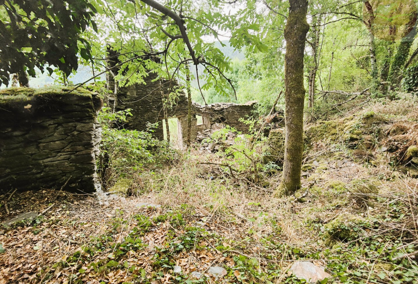 vente Maison à rénover Saint Julien D'arpaon - Photo 9