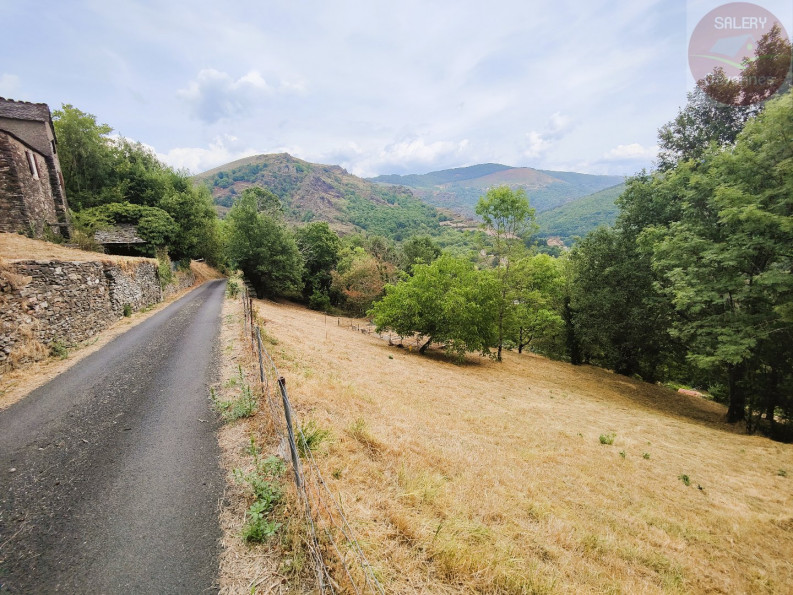 vente Maison à rénover Saint Julien D'arpaon - Photo 10
