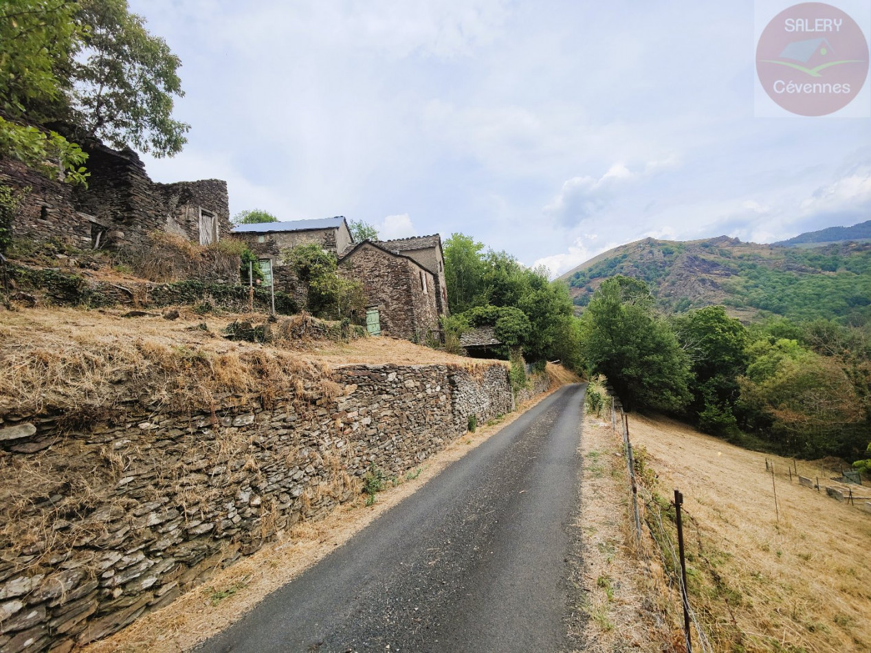 à vendre Maison à rénover Saint Julien D'arpaon - Photo 10