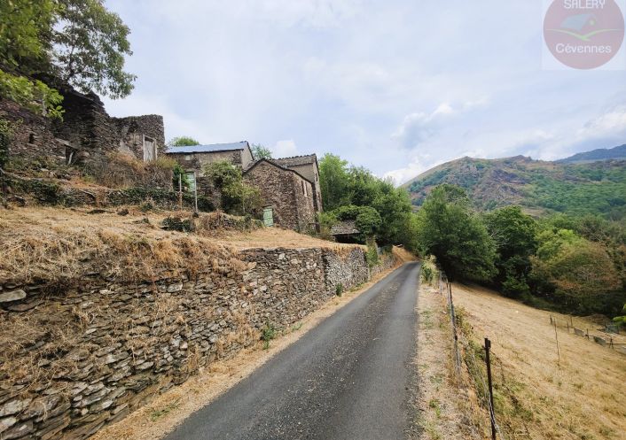à vendre Maison à rénover Saint Julien D'arpaon