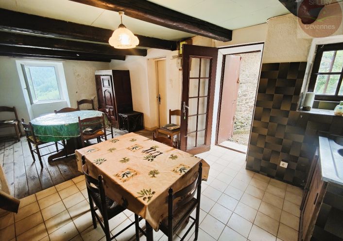 à vendre Maison à rénover Saint Julien D'arpaon