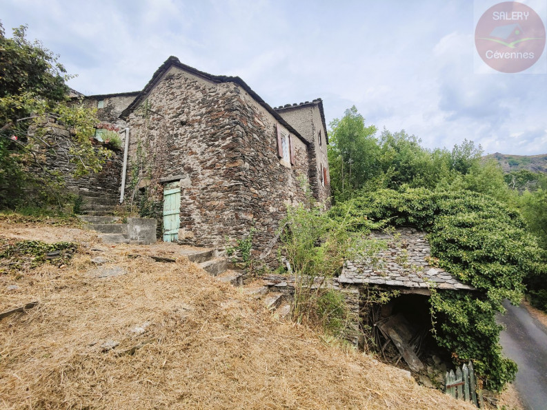 vente Maison à rénover Saint Julien D'arpaon - Photo 1