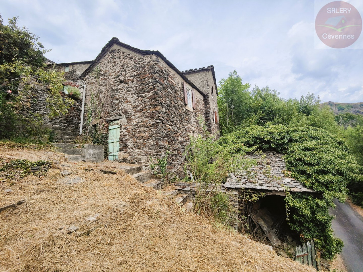 à vendre Maison à rénover Saint Julien D'arpaon - Photo 1