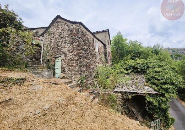 à vendre Maison à rénover Saint Julien D'arpaon