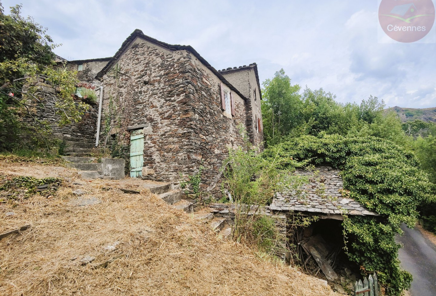 vente Maison à rénover Saint Julien D'arpaon - Photo 1
