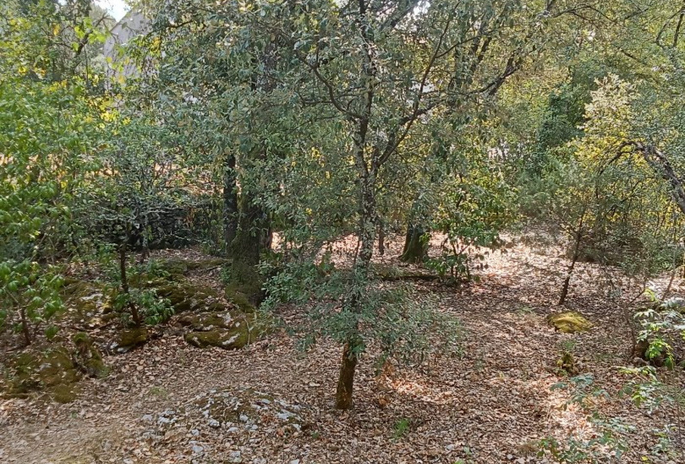 vente Terrain constructible Saint Hippolyte Du Fort - Photo 5
