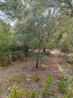 vente Terrain constructible Saint Hippolyte Du Fort