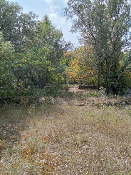 vente Terrain constructible Saint Hippolyte Du Fort - Photo 10