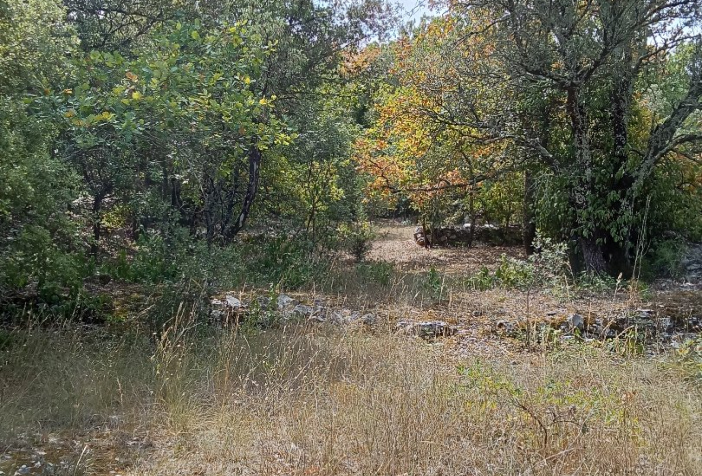 vente Terrain constructible Saint Hippolyte Du Fort - Photo 6