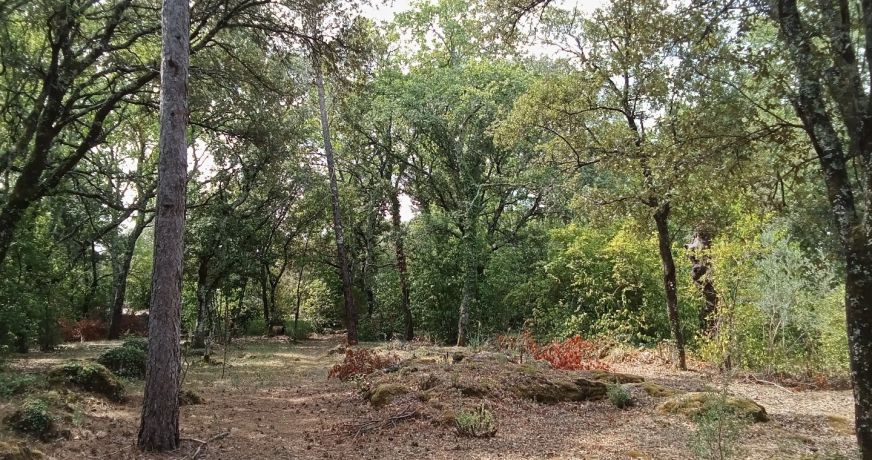 vente Terrain constructible Saint Hippolyte Du Fort