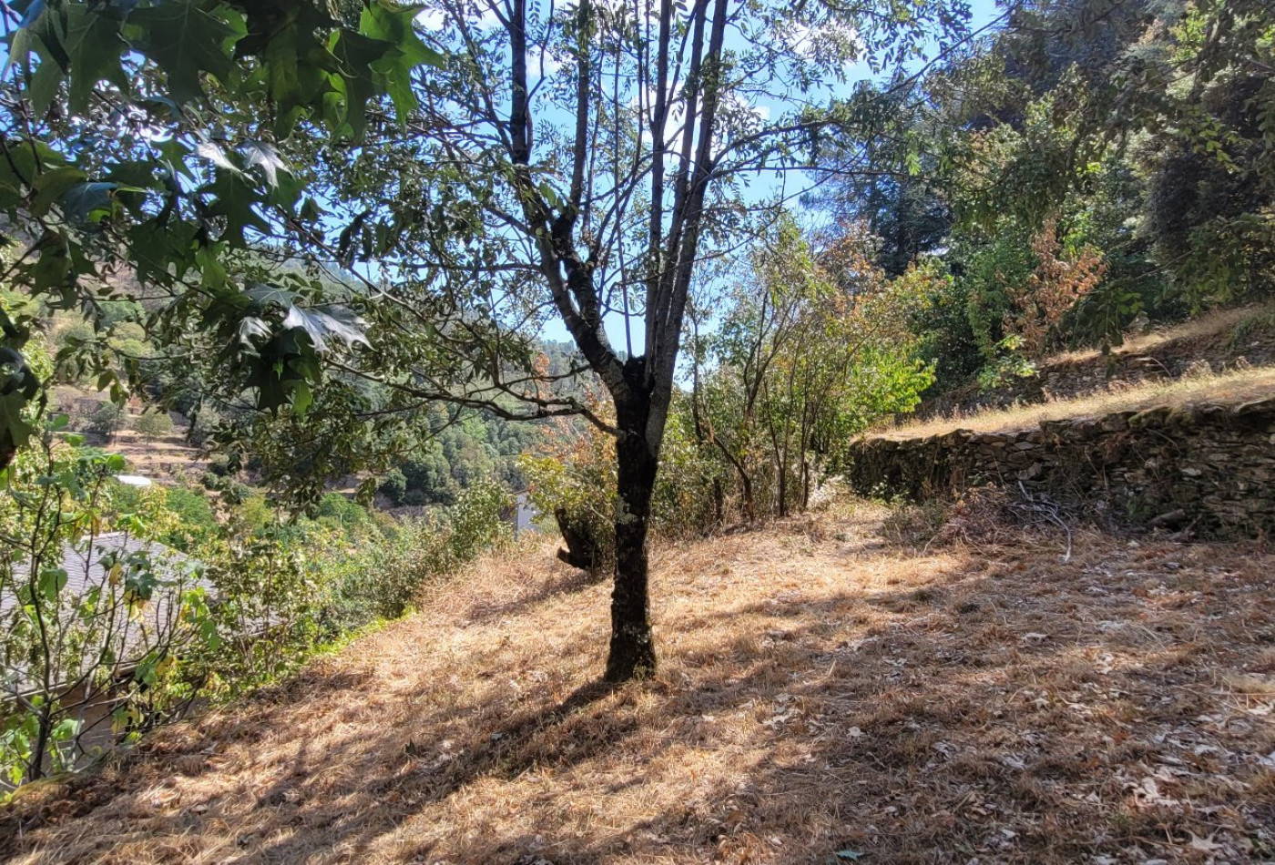 vente Maison Saint Andre De Valborgne - Photo 10