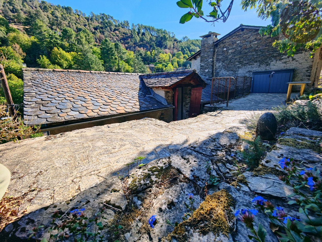 à vendre Maison Saint Andre De Valborgne - Photo 1