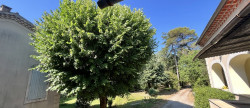 vente Propriété Saint Christol Les Ales