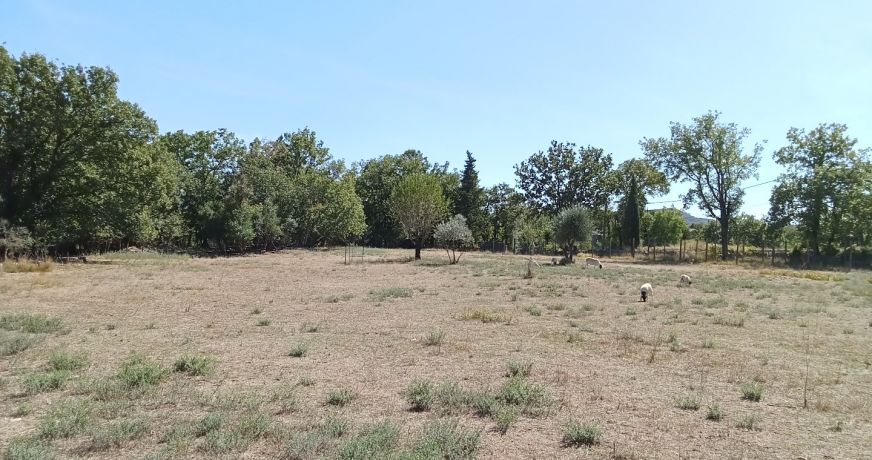 vente Maison Pompignan