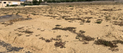 vente Terrain constructible Lezan
