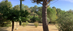 vente Maison Boisset Et Gaujac