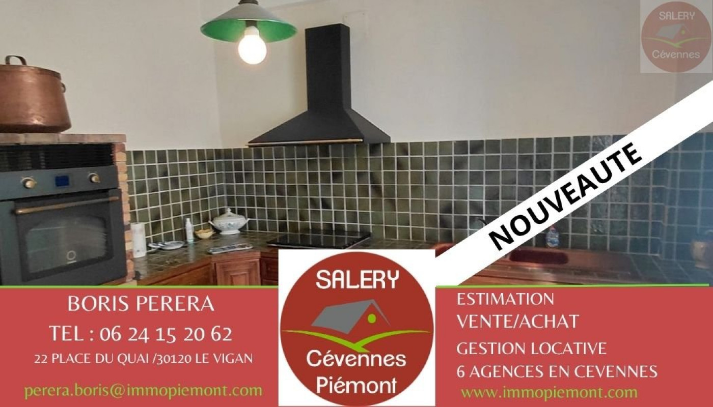 à vendre Maison Alzon - Photo 1