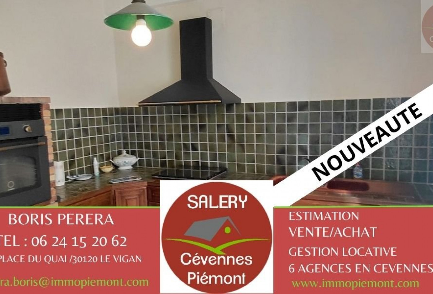vente Maison Alzon - Photo 1