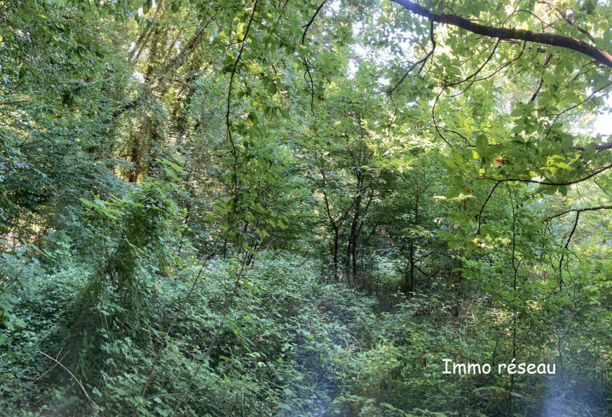 vente Terrain Rebais - Photo 2