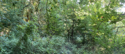 vente Terrain Rebais