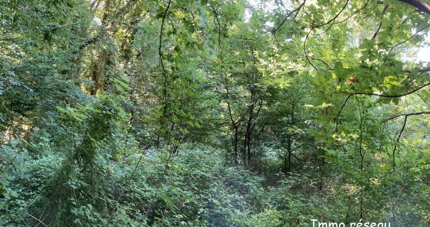 vente Terrain Rebais