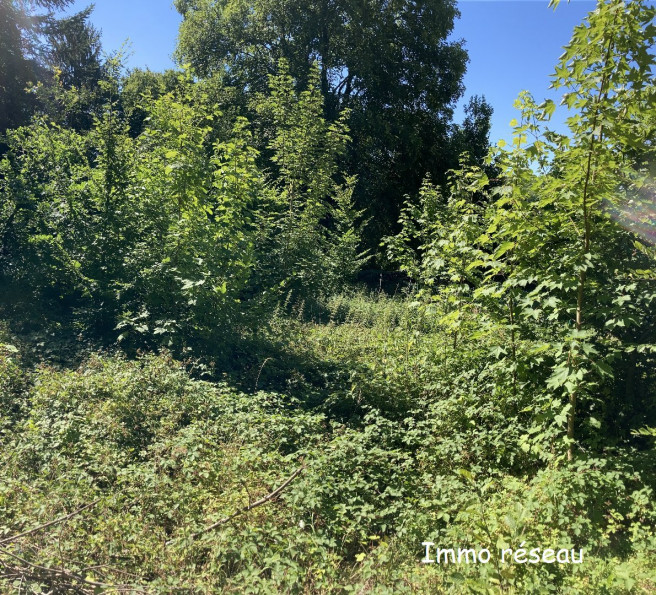vente Terrain Rebais - Photo 1